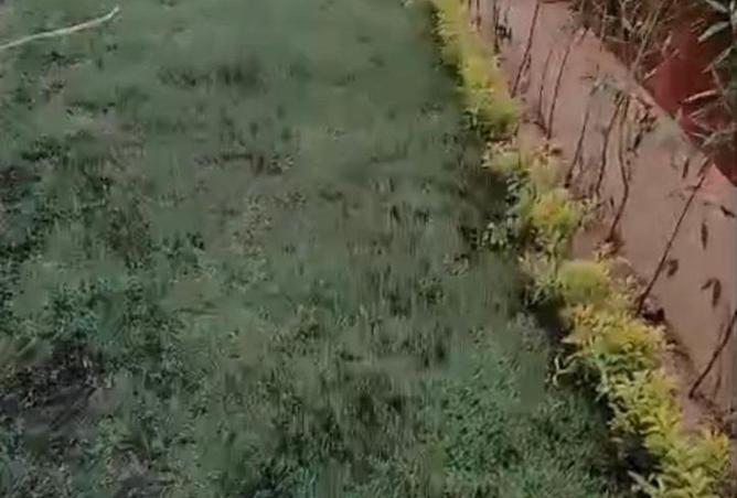 69839809 - صورة العقار 2