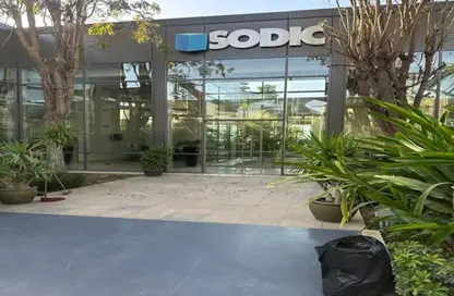 مساحات مكتبية - 2 غرف نوم - 1 حمام للايجار في ووك اوف كايرو - كمبوندات الشيخ زايد - الشيخ زايد - الجيزة