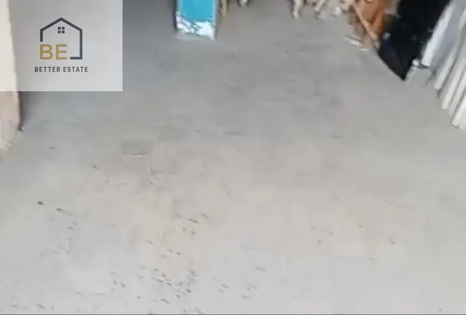 114347499 - صورة العقار 2