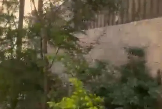 117535509 - صورة العقار 2