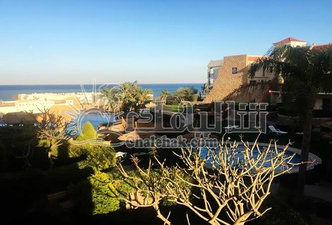 59495333 - صورة العقار 3