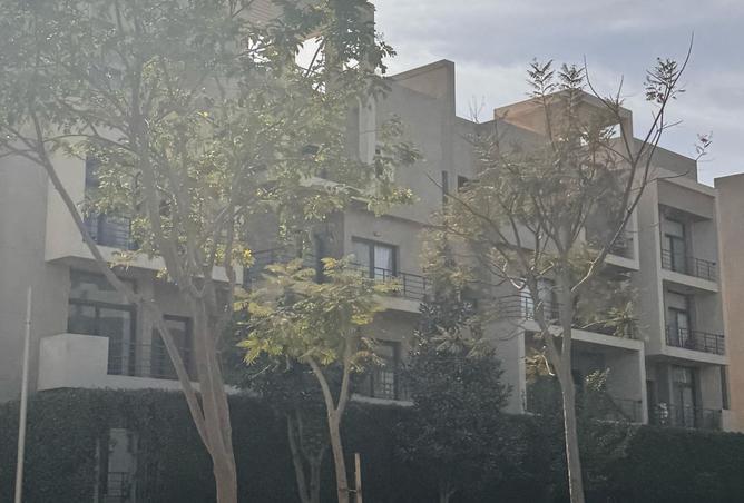 107977496 - Property Image 3