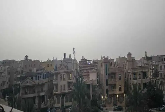 67731565 - صورة العقار 2