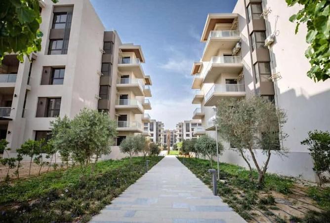 54497794 - Property Image 2