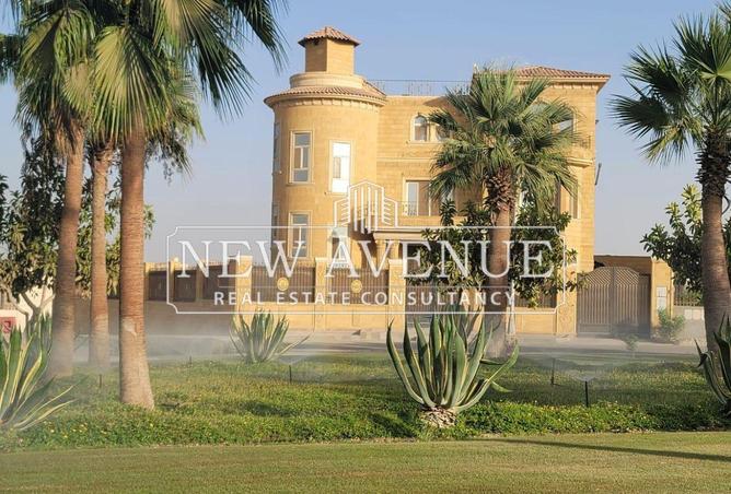 69824681 - صورة العقار 2