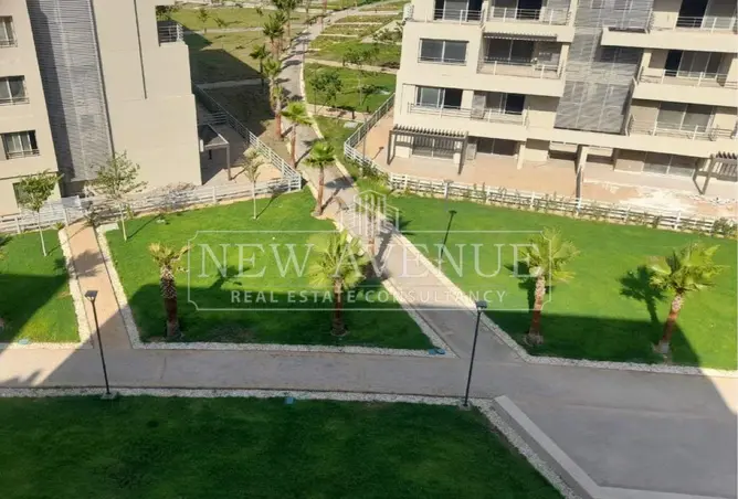 109638431 - Property Image 2