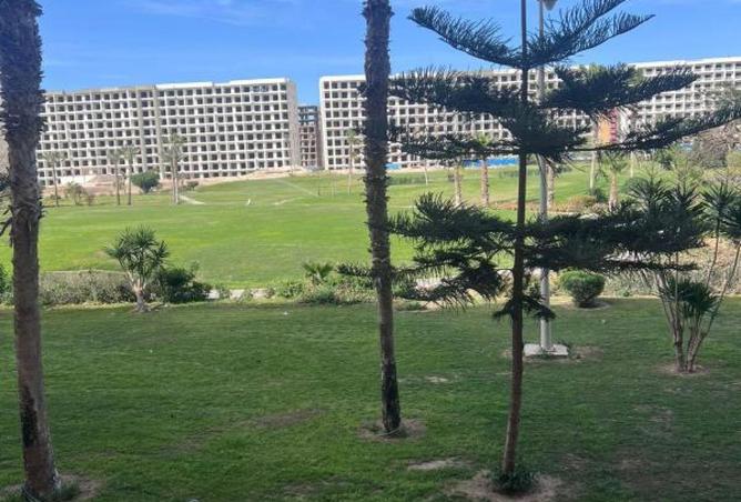 65411425 - Property Main Image