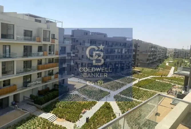 118290690 - Property Image 2