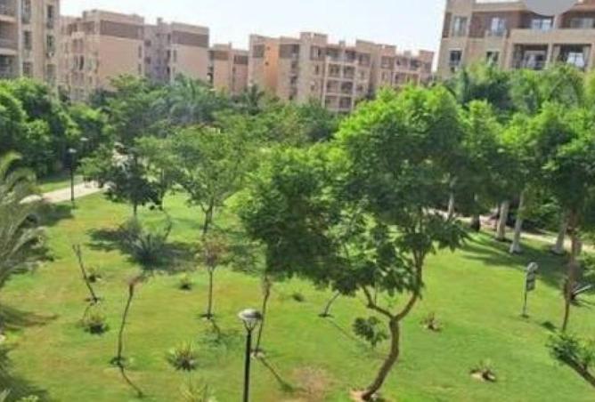 68264122 - Property Image 3