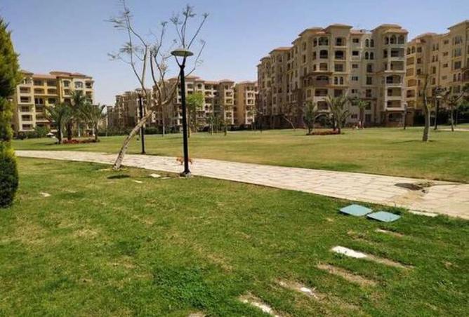 68264122 - Property Image 2