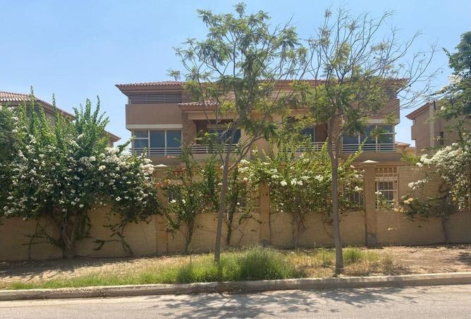 53726732 - صورة العقار 3