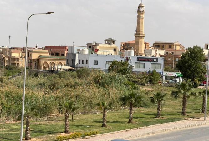 70105635 - Property Image 2