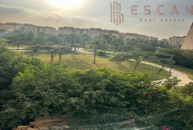 8524491 - Property Image 3