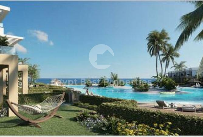 68006643 - صورة العقار 3