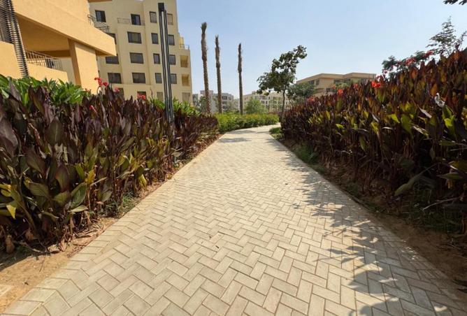 68799890 - صورة العقار 2