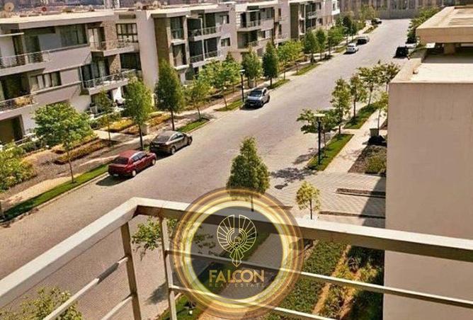 66176353 - Property Main Image