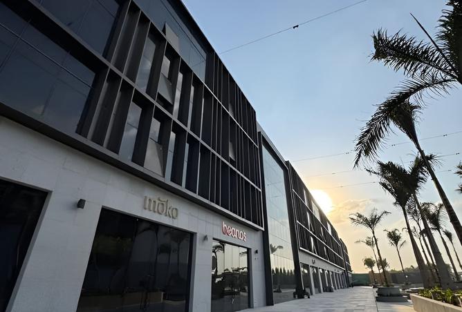 8461617 - صورة العقار 2