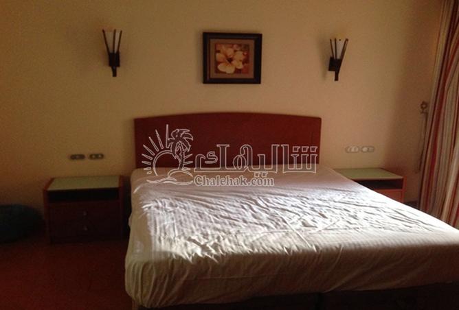 107405204 - Property Image 3
