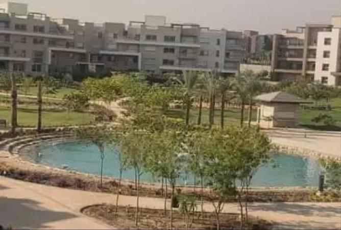 58245996 - صورة العقار 3