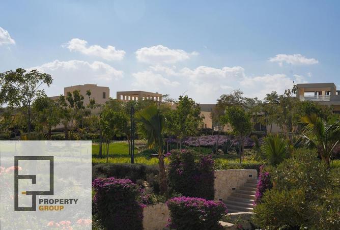 81835544 - صورة العقار 3
