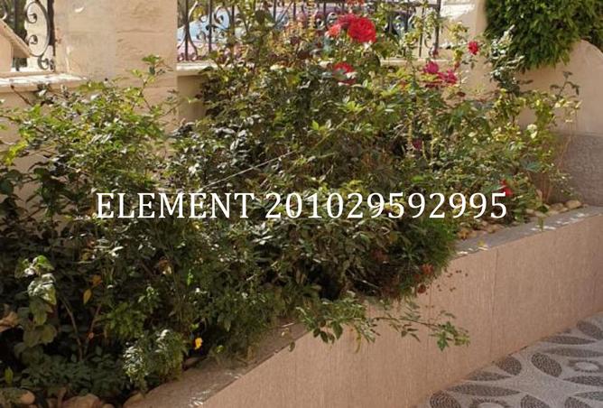 8428489 - الصورة الرئيسية للعقار