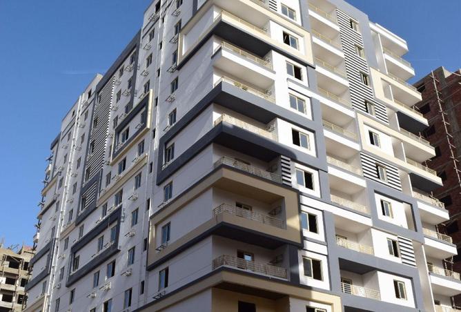 55504293 - صورة العقار 3