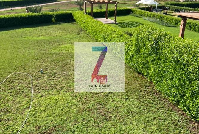 72705948 - صورة العقار 2