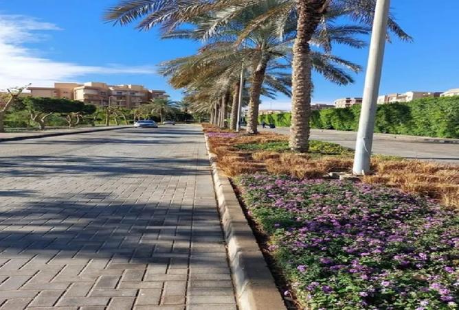 8522506 - صورة العقار 3