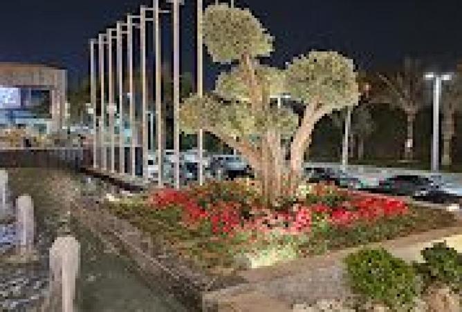 8704857 - Property Image 3