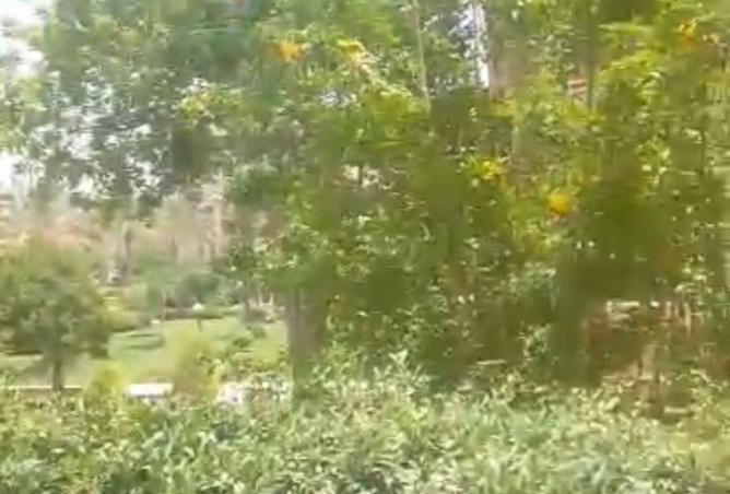 83680067 - الصورة الرئيسية للعقار