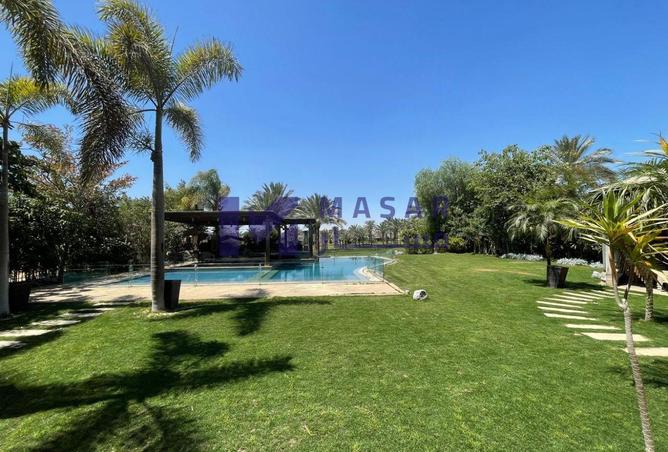 8585851 - صورة العقار 2