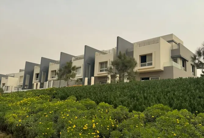 117780499 - Property Image 3