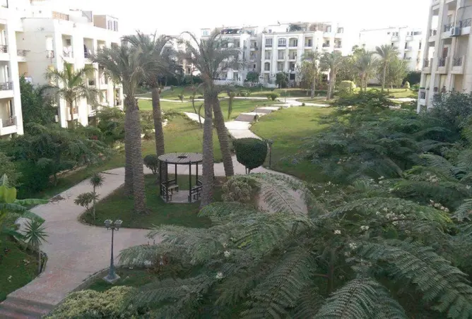 111024114 - صورة العقار 3