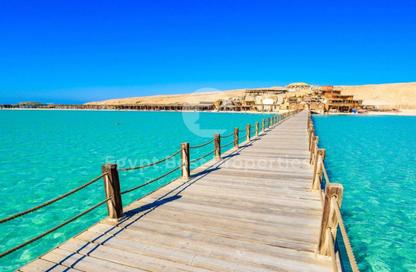 Apartment - Studio - 1 for sale in Shedwan Resort - El Gouna - Hurghada - Red Sea