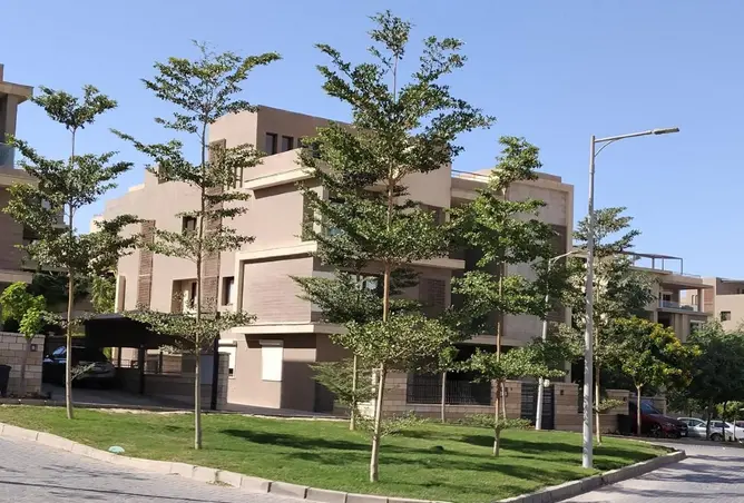 117533703 - Property Image 3