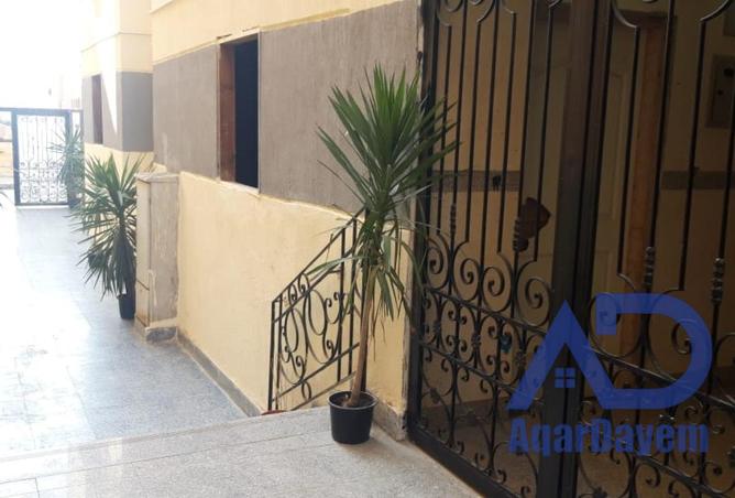 57754487 - صورة العقار 2