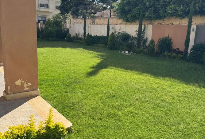 8516685 - صورة العقار 2