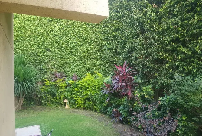 116748995 - صورة العقار 2
