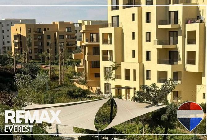 52195457 - صورة العقار 3