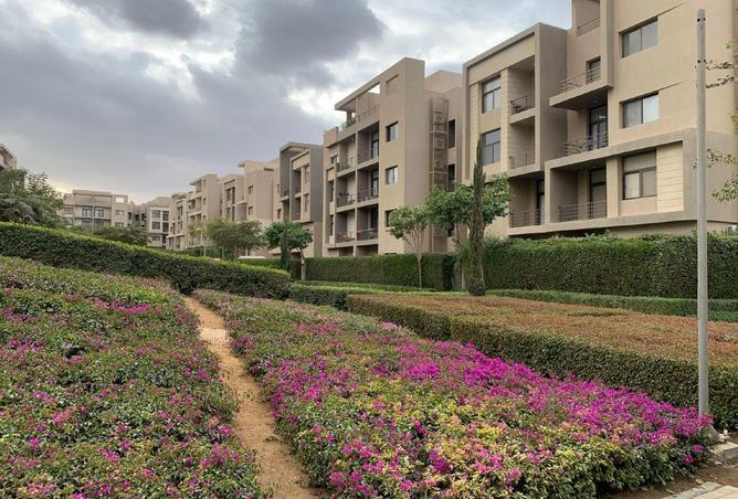 65156479 - Property Main Image