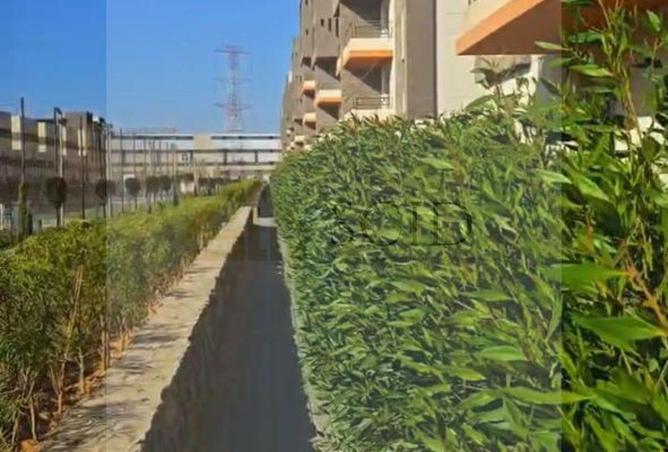 55762455 - صورة العقار 2