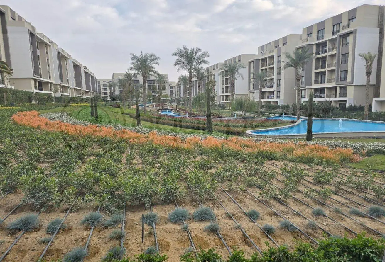 115458141 - Property Main Image