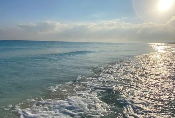 108794061 - صورة العقار 2