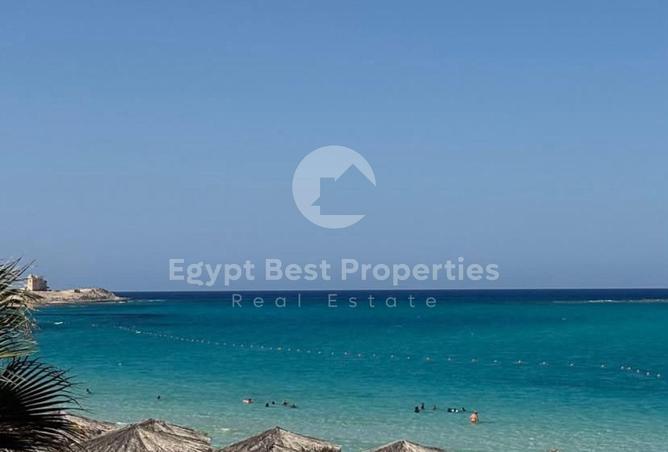109353115 - Property Image 3