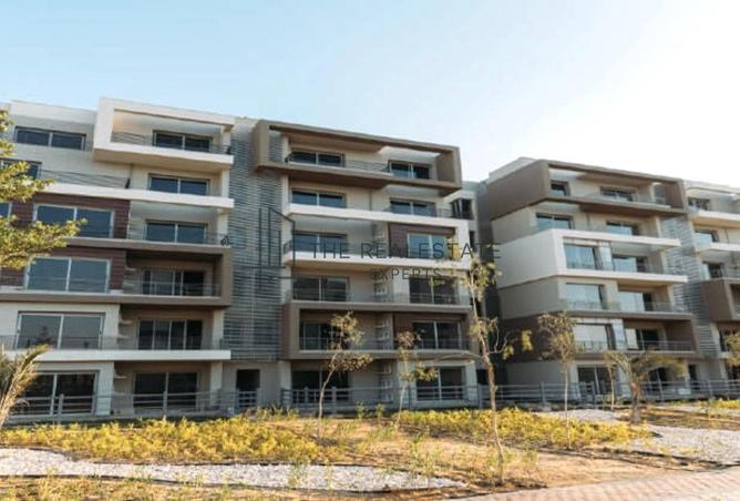 102911162 - Property Image 3