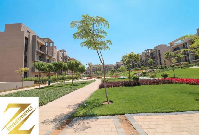 54241427 - Property Image 3