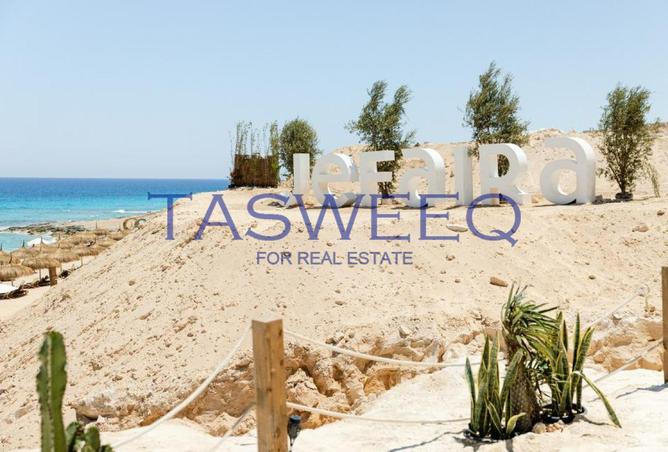 63390692 - Property Image 2