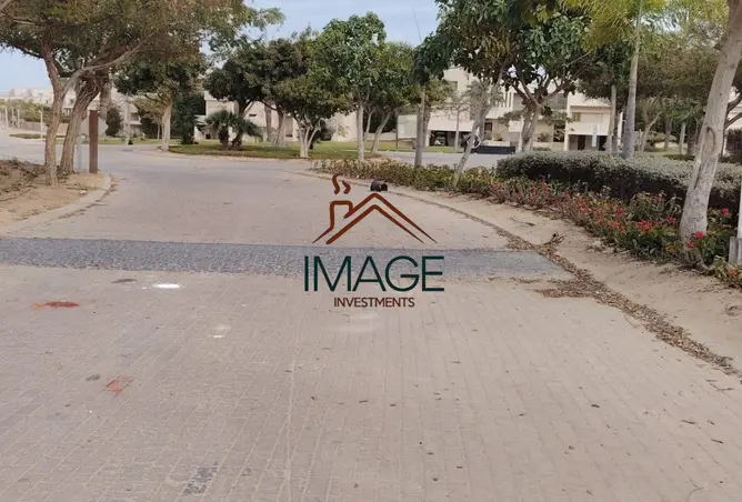 111623801 - Property Image 3