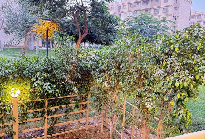 8677644 - صورة العقار 2