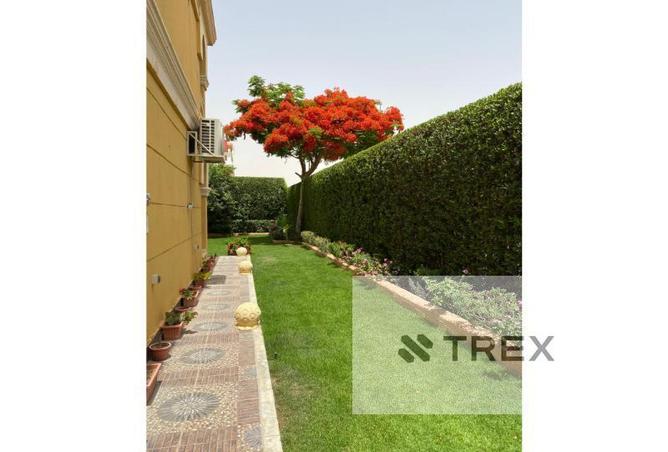 53984462 - صورة العقار 3